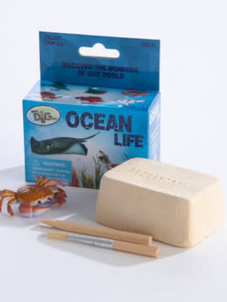 Mini Dig Kit