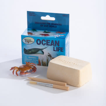 Mini Dig Kit