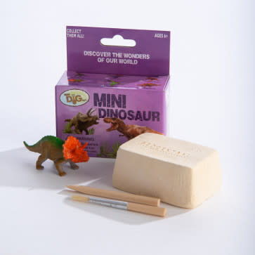 Mini Dig Kit