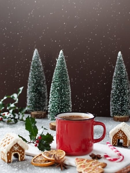 Gourmet Du Village Merry Christmoose Double Truffle Mini Hot Chocolate