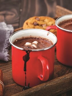 Gourmet Du Village Mini Hot Chocolate Double Truffle Dragon