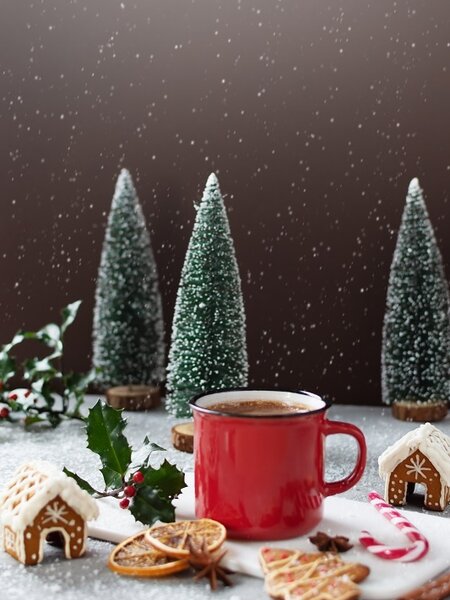 Gourmet Du Village Mini Hot Chocolate Penguin