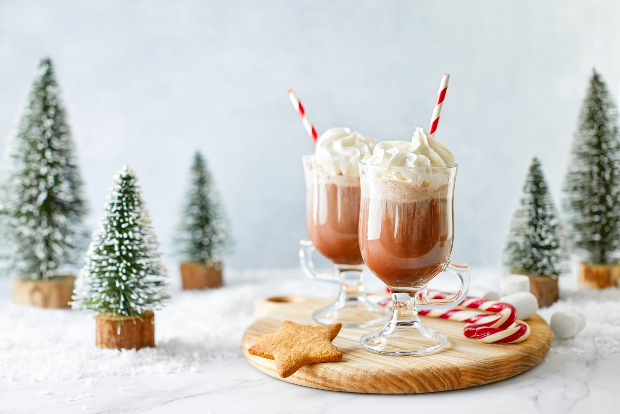Gourmet Du Village Mini Hot Chocolate Candy Cane No Sugar