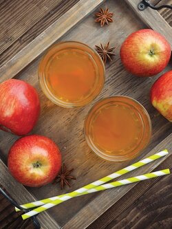 Gourmet Du Village Mini Apple Cider Mix