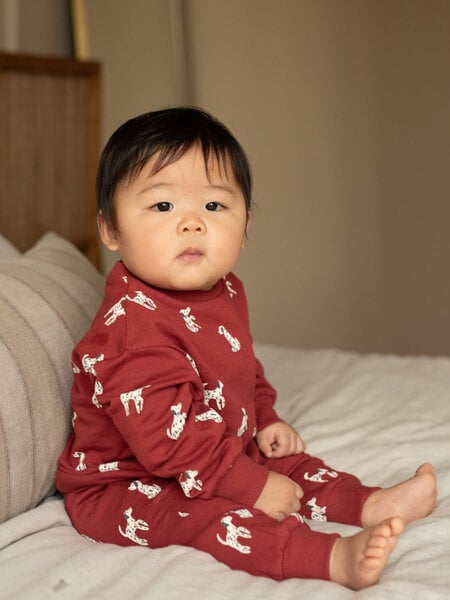 Dirkje Sweater and Jogger Set