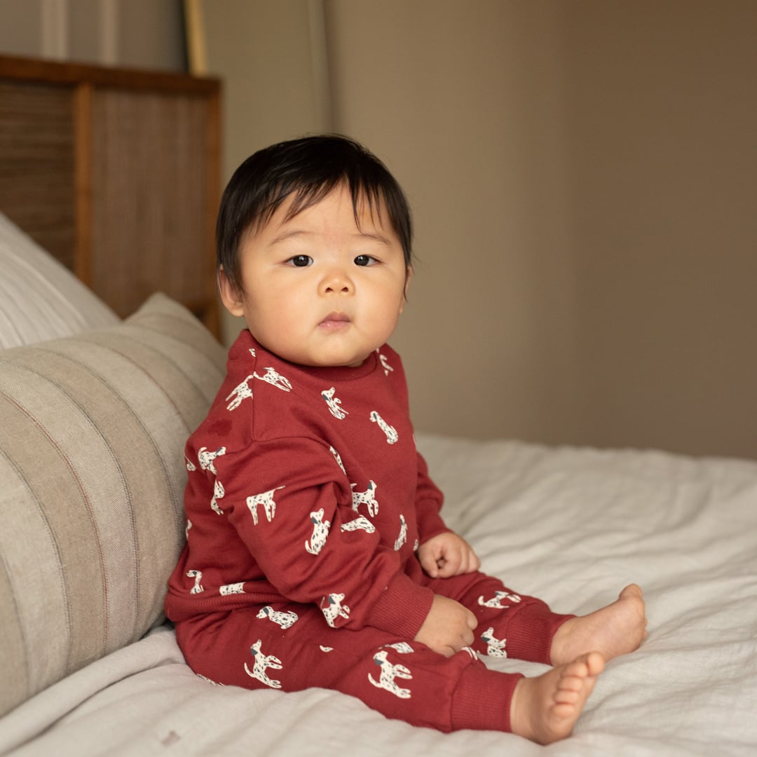 Dirkje Sweater and Jogger Set