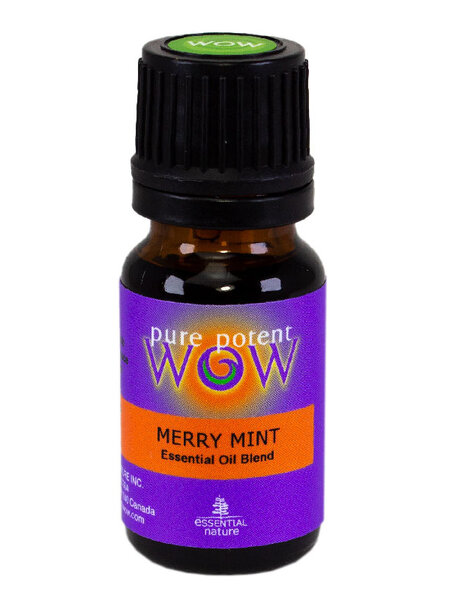 Merry Mint Diffuser Blend 12ml
