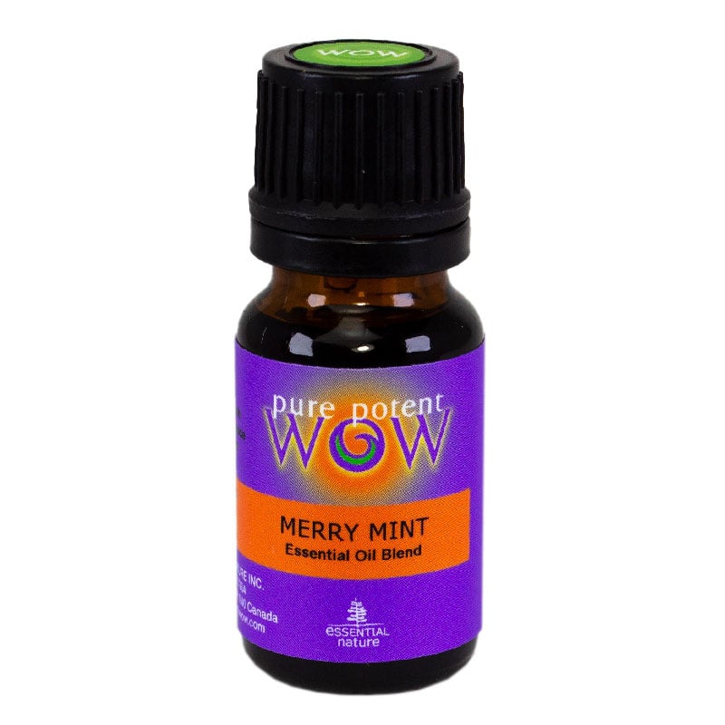 Merry Mint Diffuser Blend 12ml