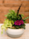 Wild at Heart Curated Plant Arrangement