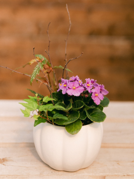 Violet & Vine Curated Plant Arrangement