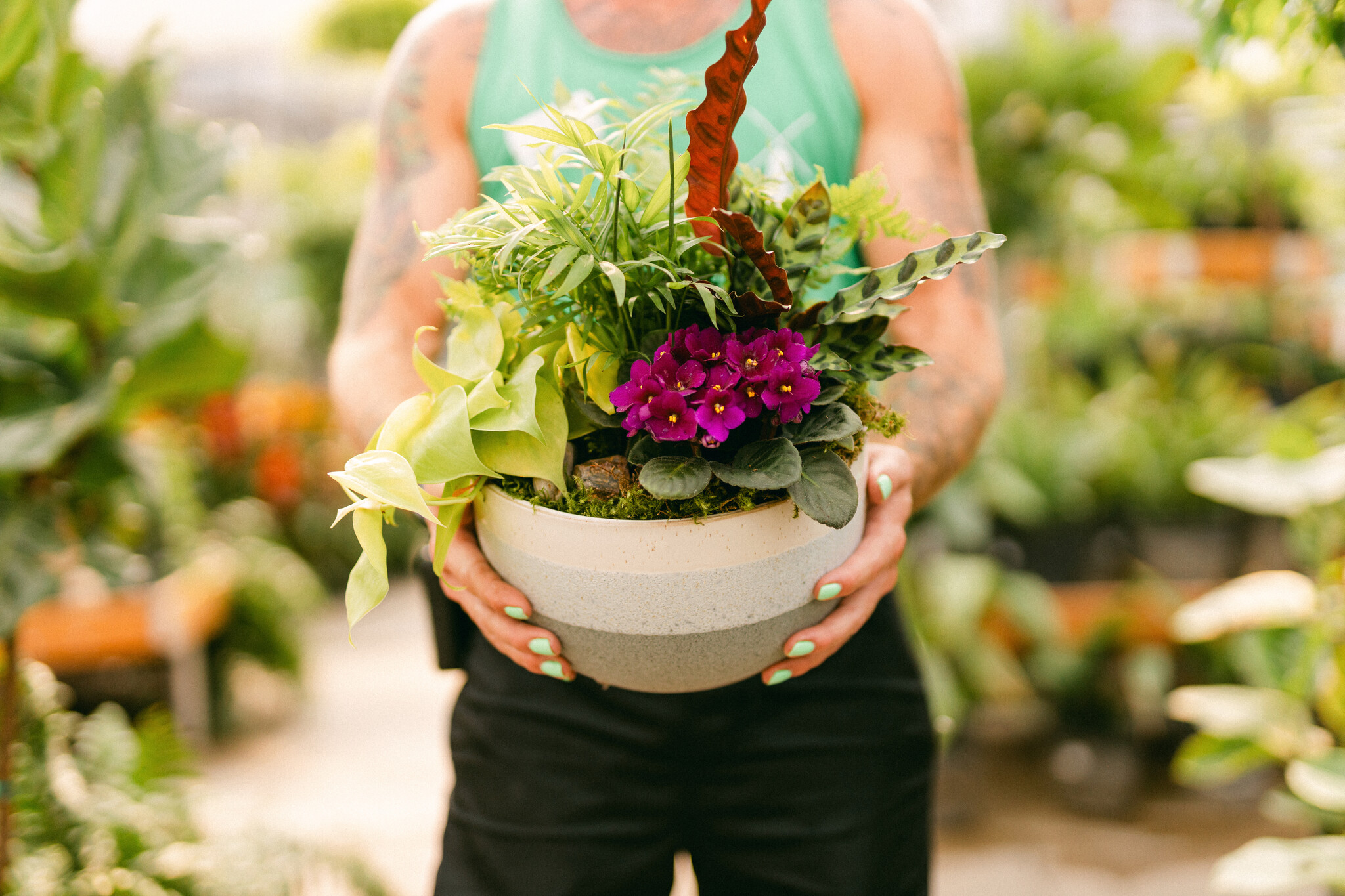 Wild at Heart Curated Plant Arrangement