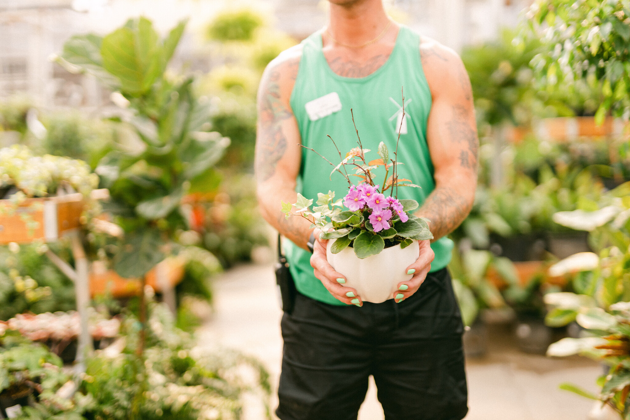 Violet & Vine Curated Plant Arrangement