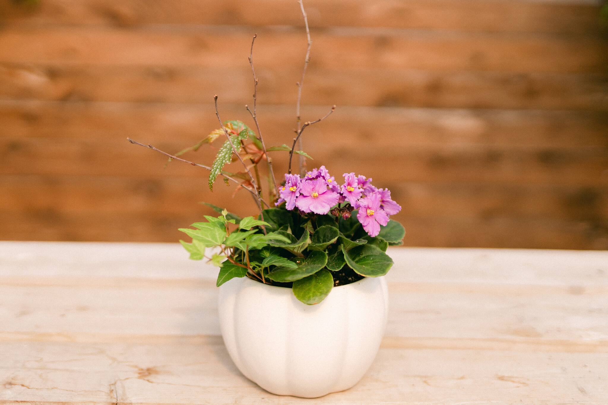 Violet & Vine Curated Plant Arrangement