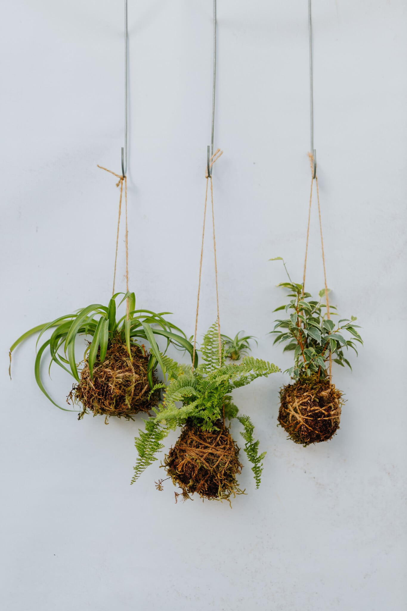Mossed & Found: A Kokedama Experience Make & Take Workshop