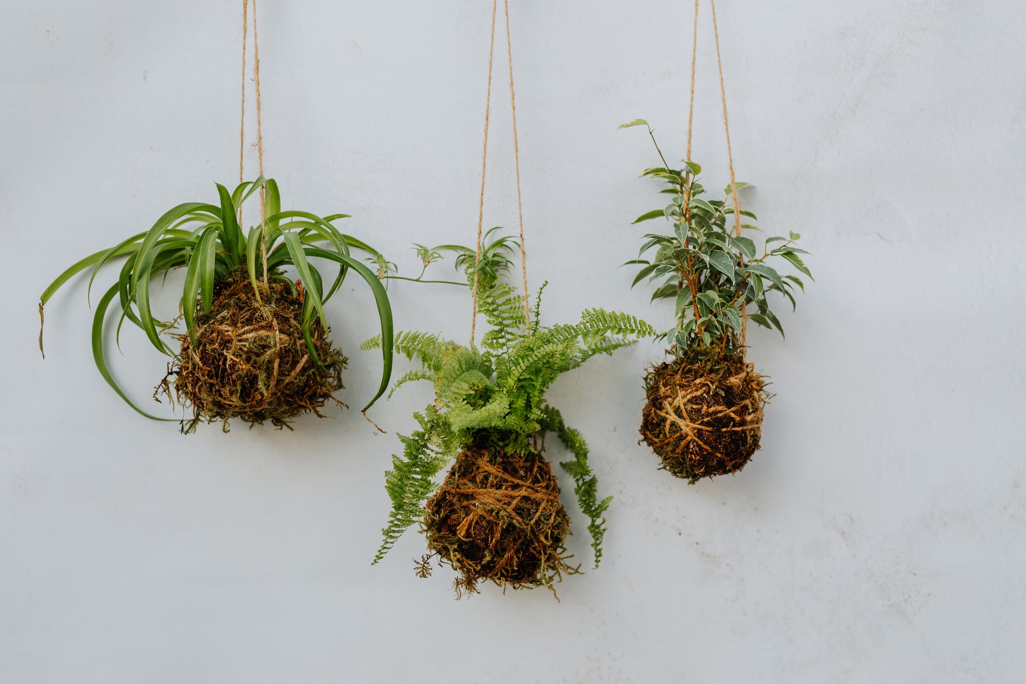 Mossed & Found: A Kokedama Experience Make & Take Workshop