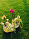 Orchid Oasis Make & Take Workshop
