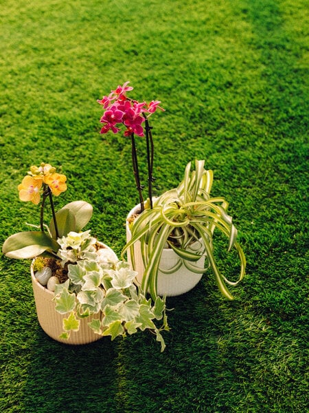 Orchid Oasis Make & Take Workshop