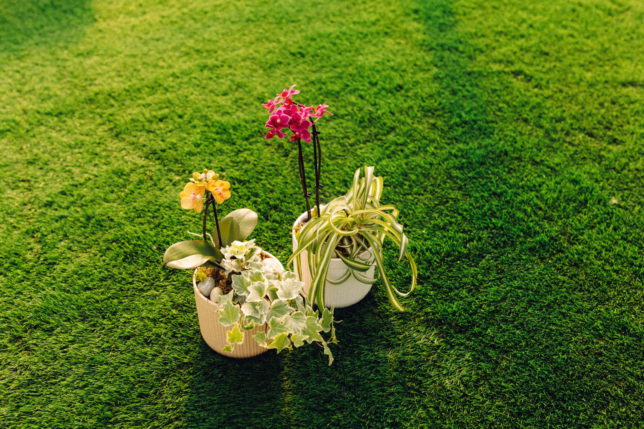 Orchid Oasis Make & Take Workshop