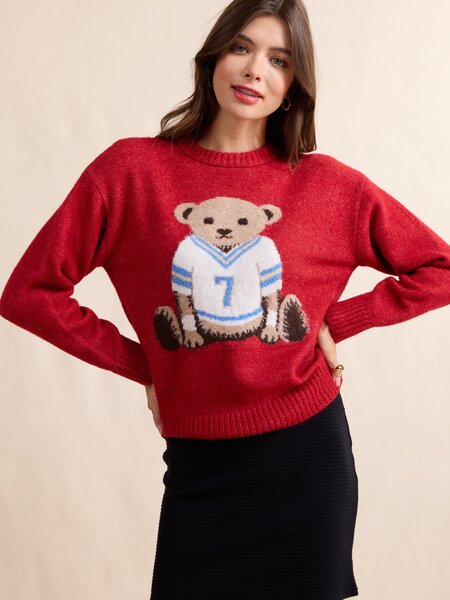 Sadie and Sage Teddy Bear Sweater