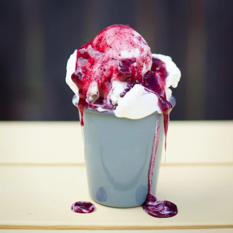 Gourmet Inspirations Prairie Berry Dessert Sauce 225ml