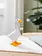 Gordy the Goose