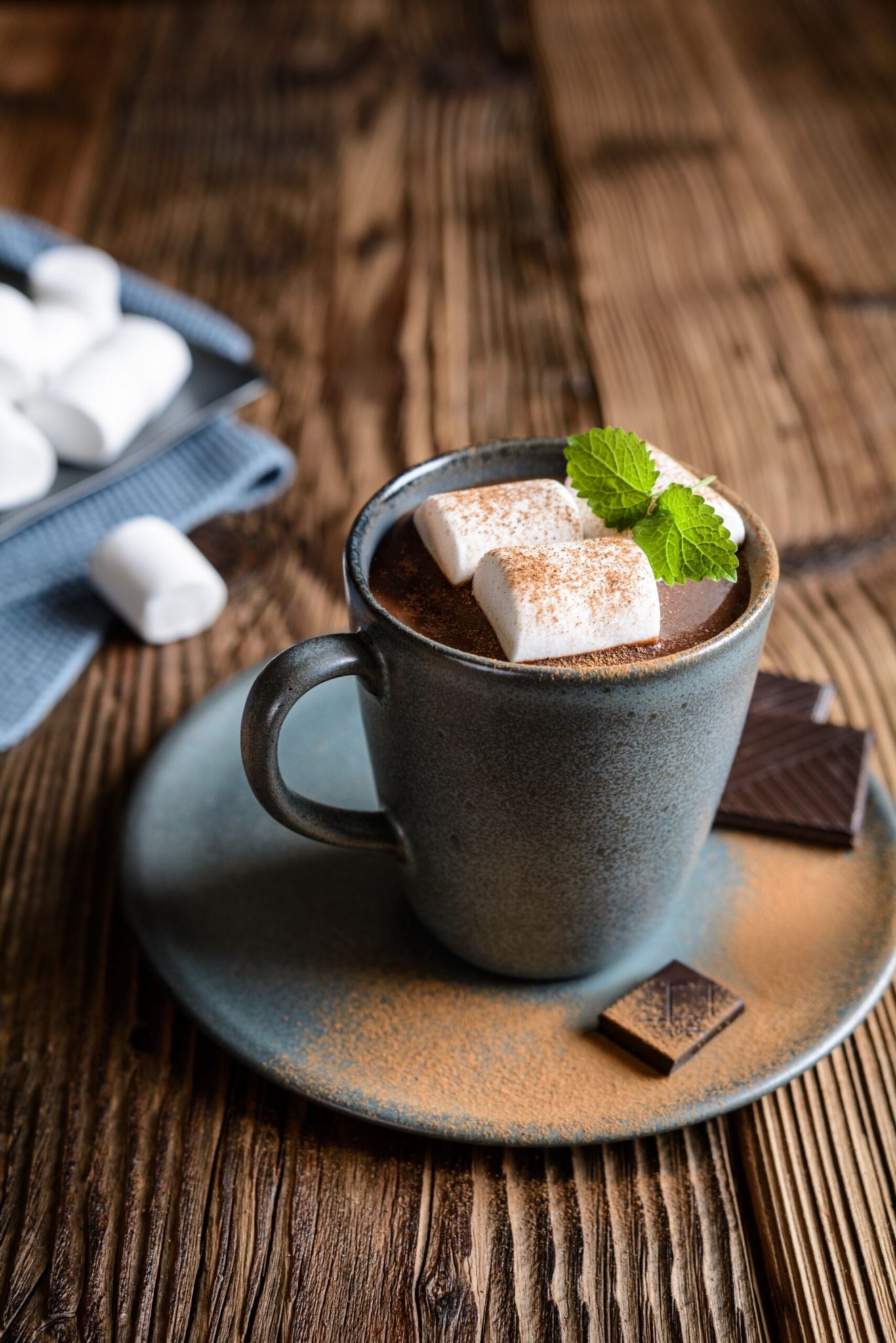 Gourmet Du Village Mini Hot Chocolate Mint