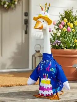 Giddy Outfit Birthday Celebration