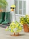Giddy Outfit 5 O'Clock Somewhere