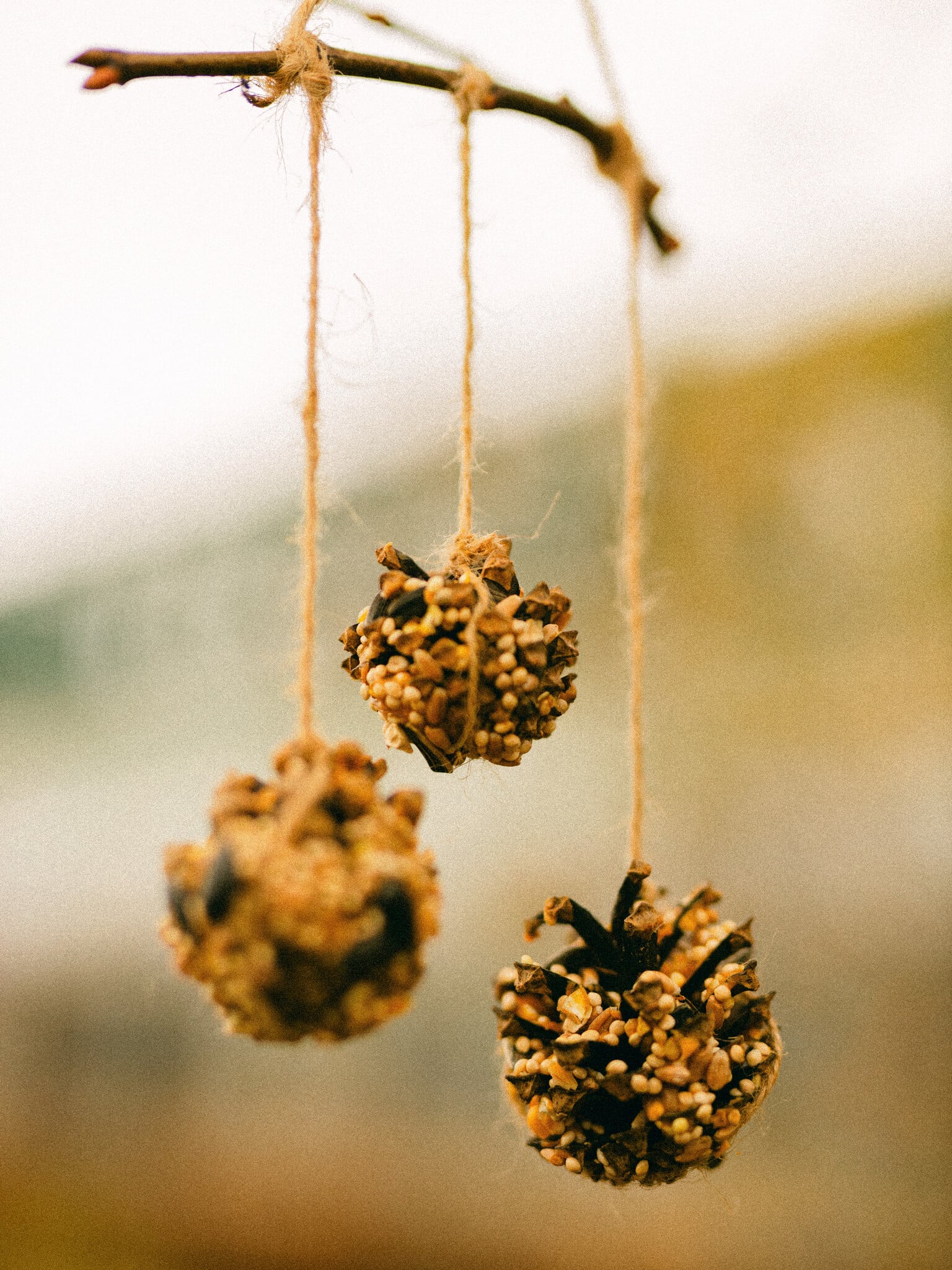 Nature's Bird Feeder – Kids' Make & Take Craft November 12th