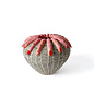 Pearce Williams Fingers Vase
