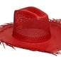 Clyde Red Western Straw Hat