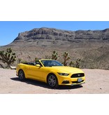 Mustang Yellow