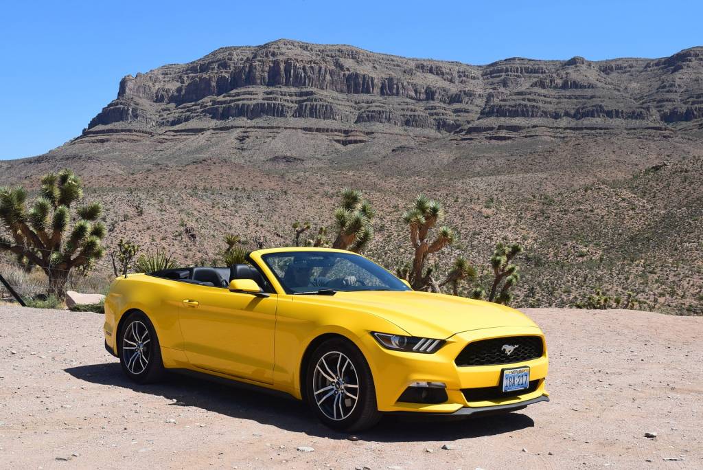 Mustang Yellow