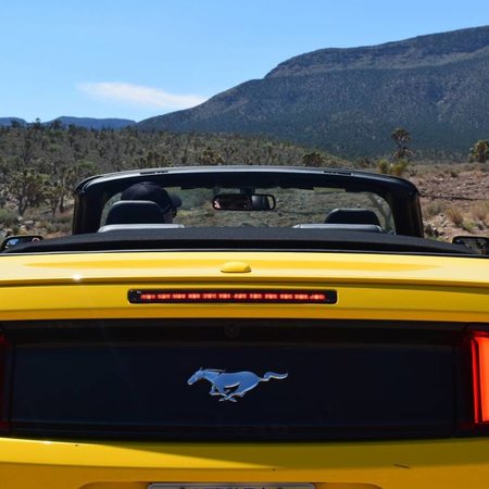 Mustang Yellow