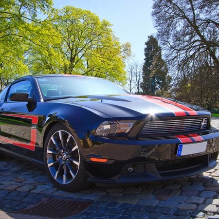 Mustang black