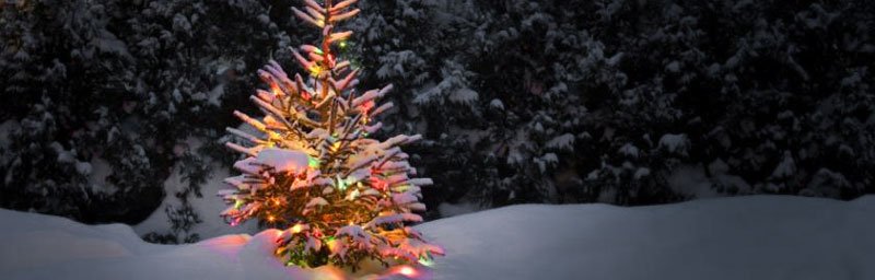 Things To Do In Lake Tahoe with Holiday Guests