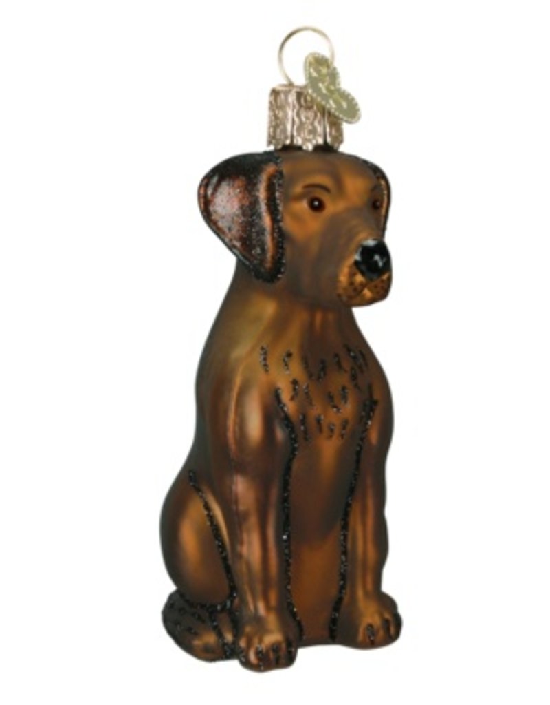 OLD WORLD CHRISTMAS CHOCOLATE LABRADOR