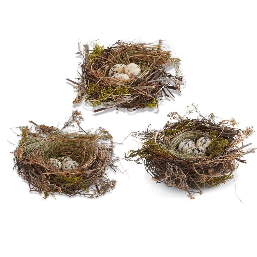 TWIG NEST WITH BROWN SPECKLED EGGS AND GRASS TWIG NEST WITH BROWN SPECKLED EGGS AND GRASS