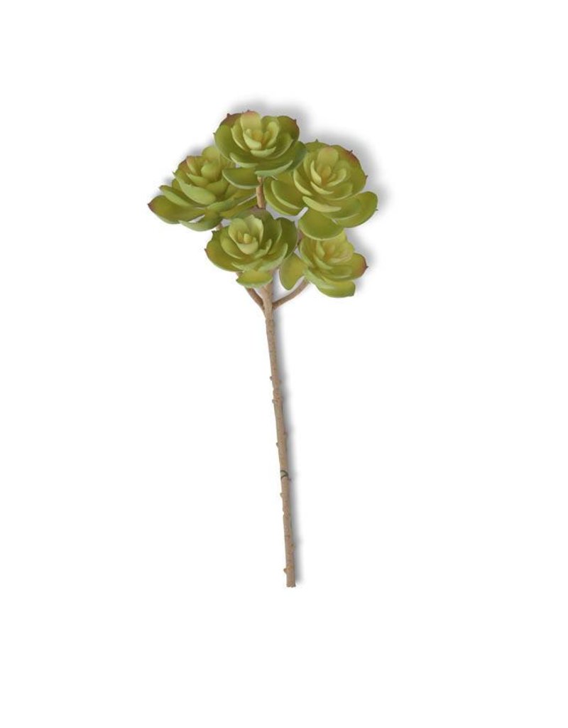 13" HENS AND CHICKS STEM