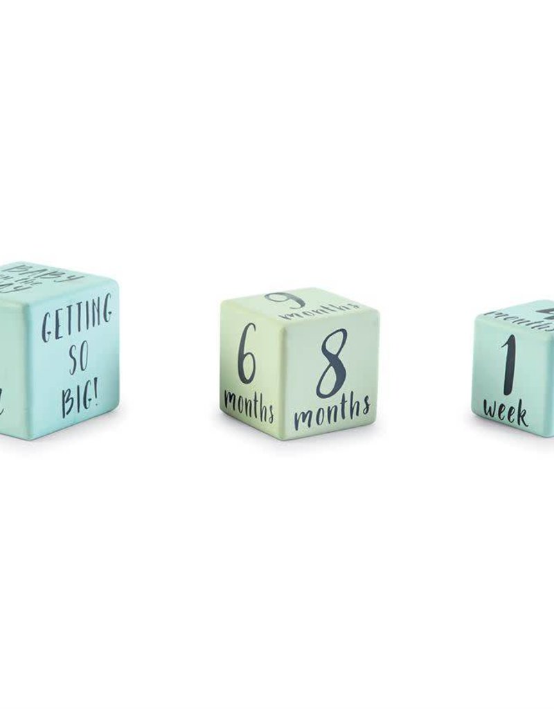 MUD PIE BOY MILESTONE BLOCKS