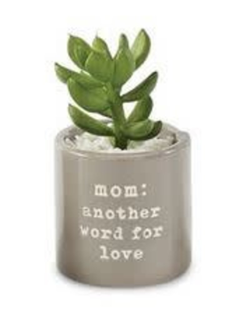 MUD PIE MOM SENTIMENT POTTED SUCCULENT