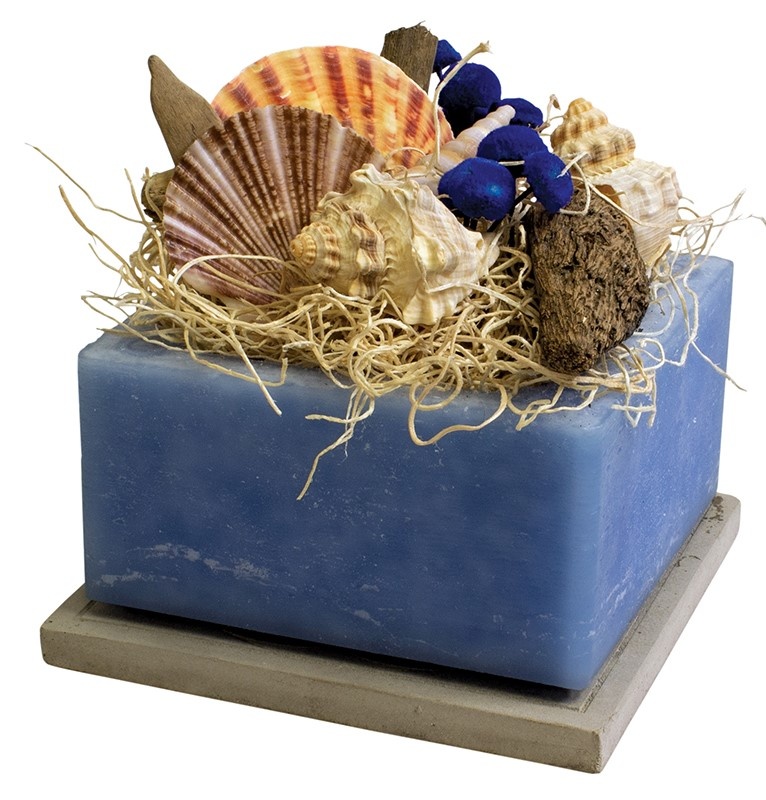 BEACHCOMBER WAX SUCCULENT GEO CUBE AND TILE BASE SET BEACHCOMBER WAX SUCCULENT GEO CUBE AND TILE BASE SET