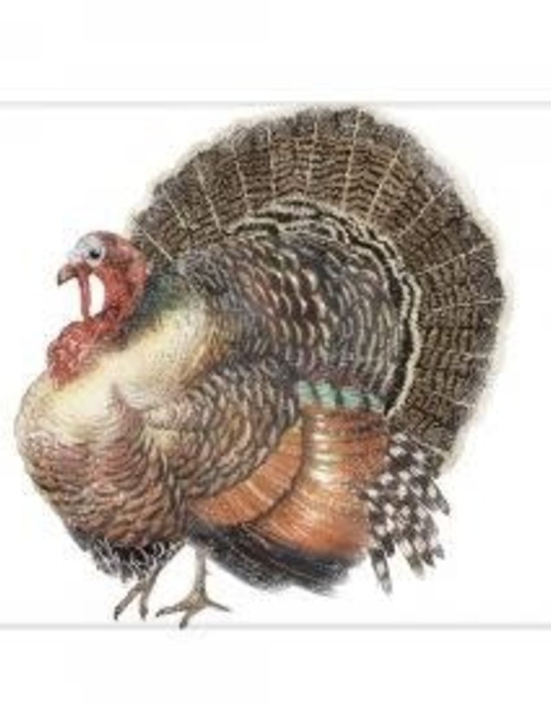 VINTAGE TURKEY FLOUR SACK TOWEL