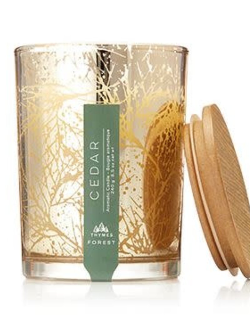 THYMES FOREST SMALL LUMINARY POURED CANDLE, CEDAR