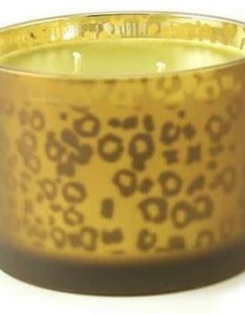 TYLER CANDLES 16 OZ STATURE GOLD LEOPARD