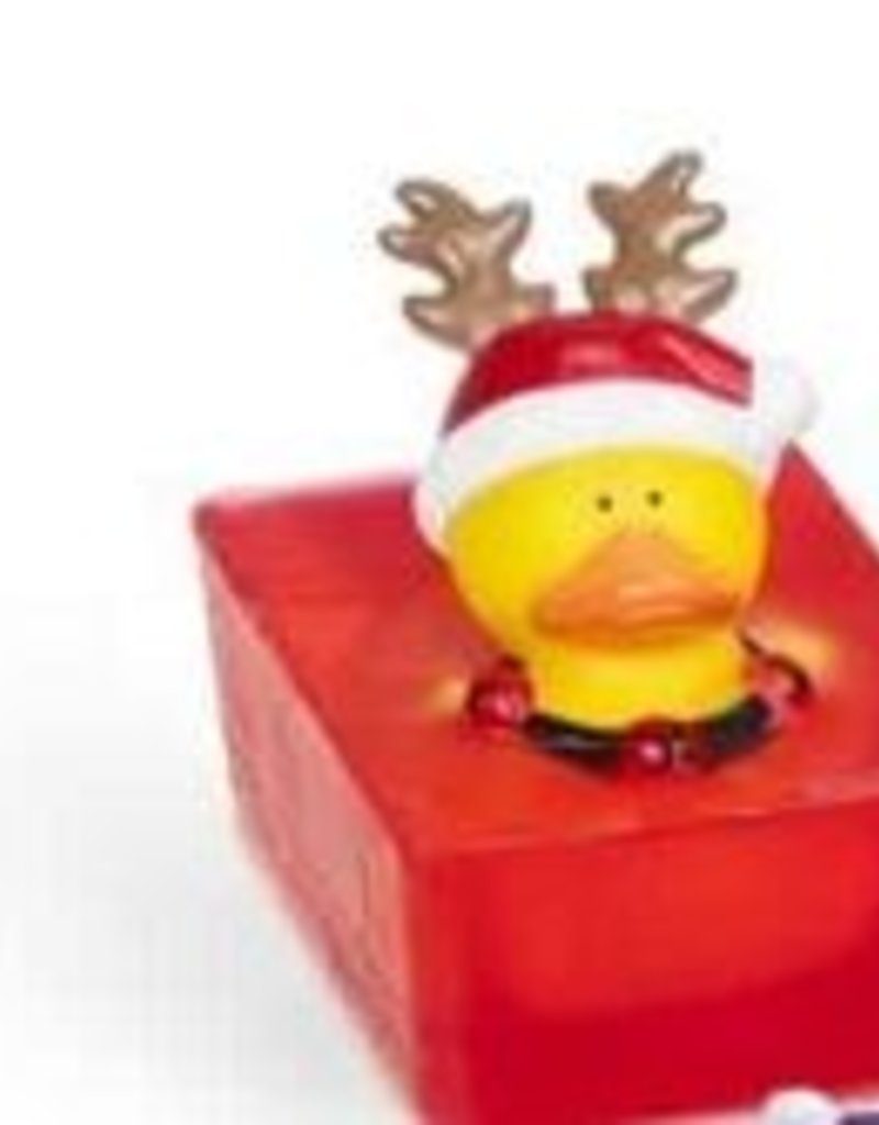 BATH BUDDY HOLIDAY SOAP