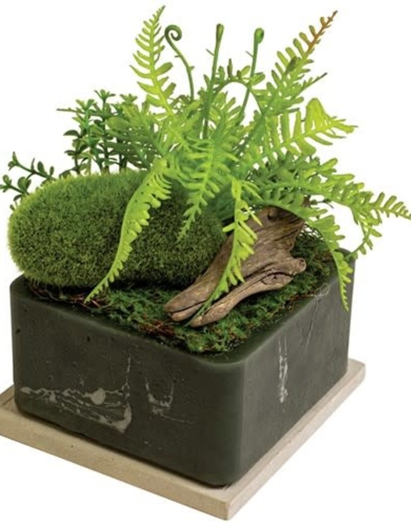 FOREST PATH GEO CUBE