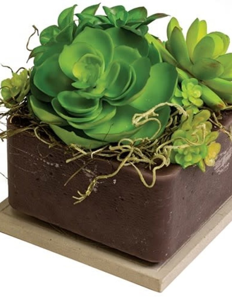 GOLDEN GREEN GEO CUBE