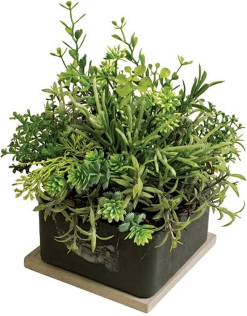 HERB GARDEN GEO CUBE