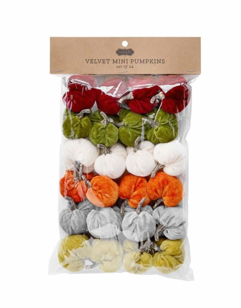 MUD PIE VELVET MINI PUMPKIN SET